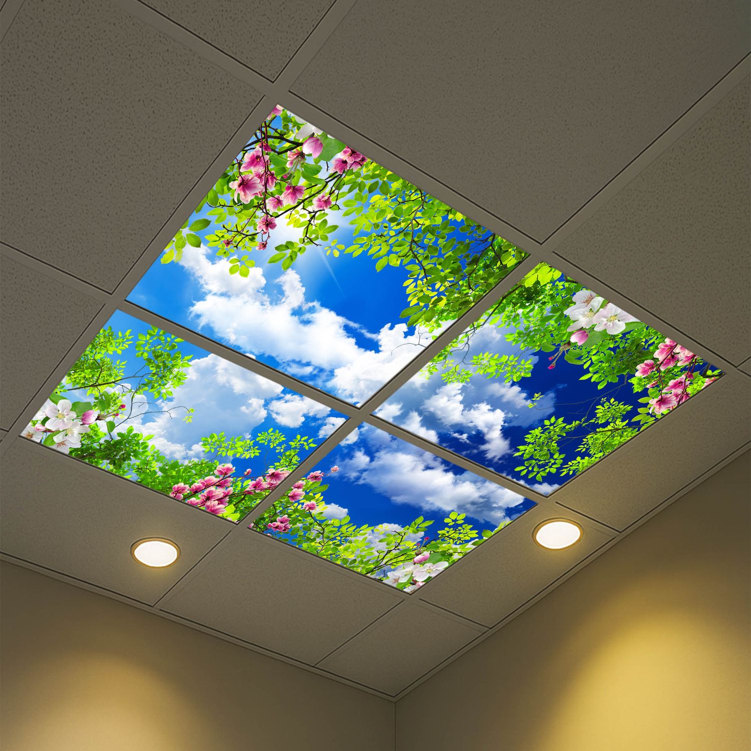 Sky Trees Flowers LED Ceiling Light Panels - Blossoms and Blue Sky - 600x600 Sky Trees Flowers LED Ceiling Light Panels - Blossoms and Blue Sky - 600x600