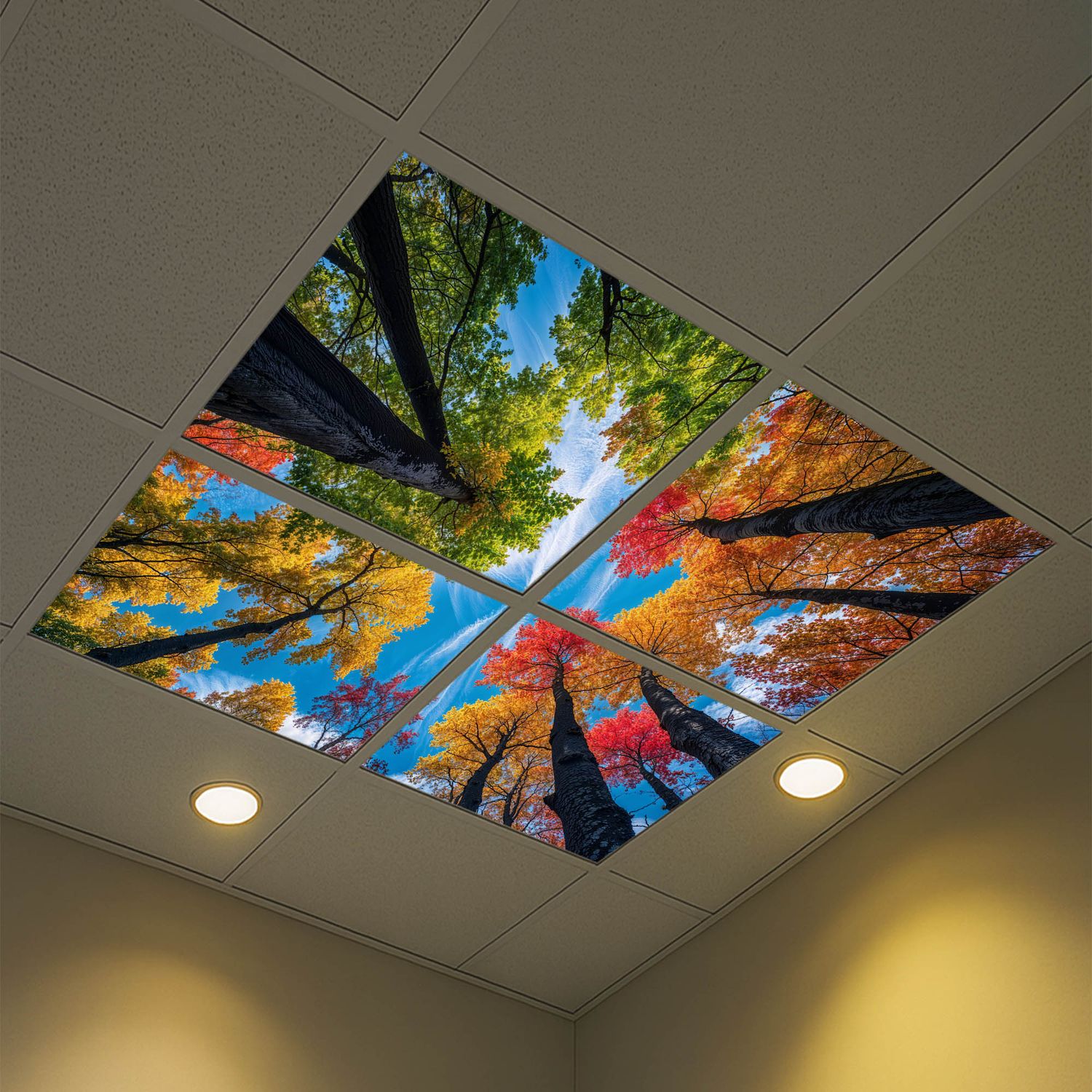 Sky Trees Flowers LED Ceiling Light Panels - Autumn Spectrum Canopy - 600x600 Sky Trees Flowers LED Ceiling Light Panels - Autumn Spectrum Canopy - 600x600
