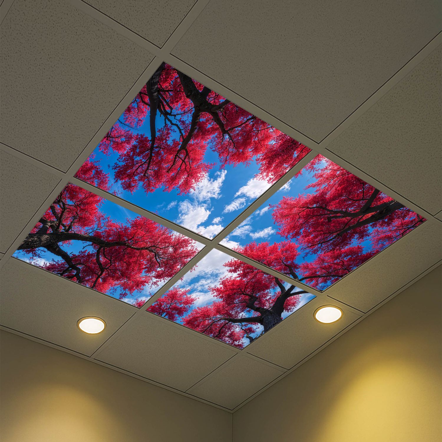 Sky Trees Flowers LED Ceiling Light Panels - Red Maple Canopy - 600x600 Sky Trees Flowers LED Ceiling Light Panels - Red Maple Canopy - 600x600