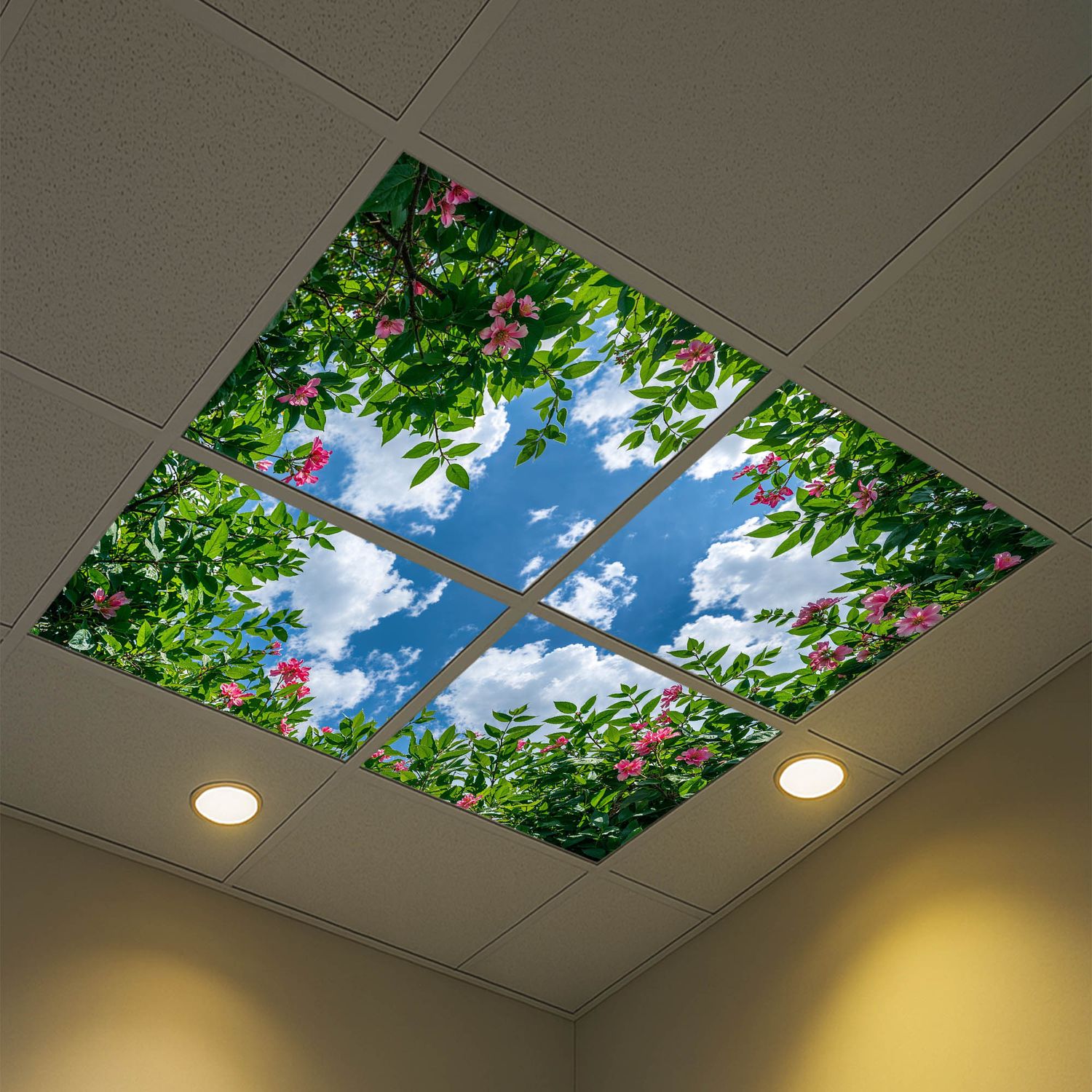 Sky Trees Flowers LED Ceiling Light Panels - Pink Blossom Canopy - 600x600 Sky Trees Flowers LED Ceiling Light Panels - Pink Blossom Canopy - 600x600