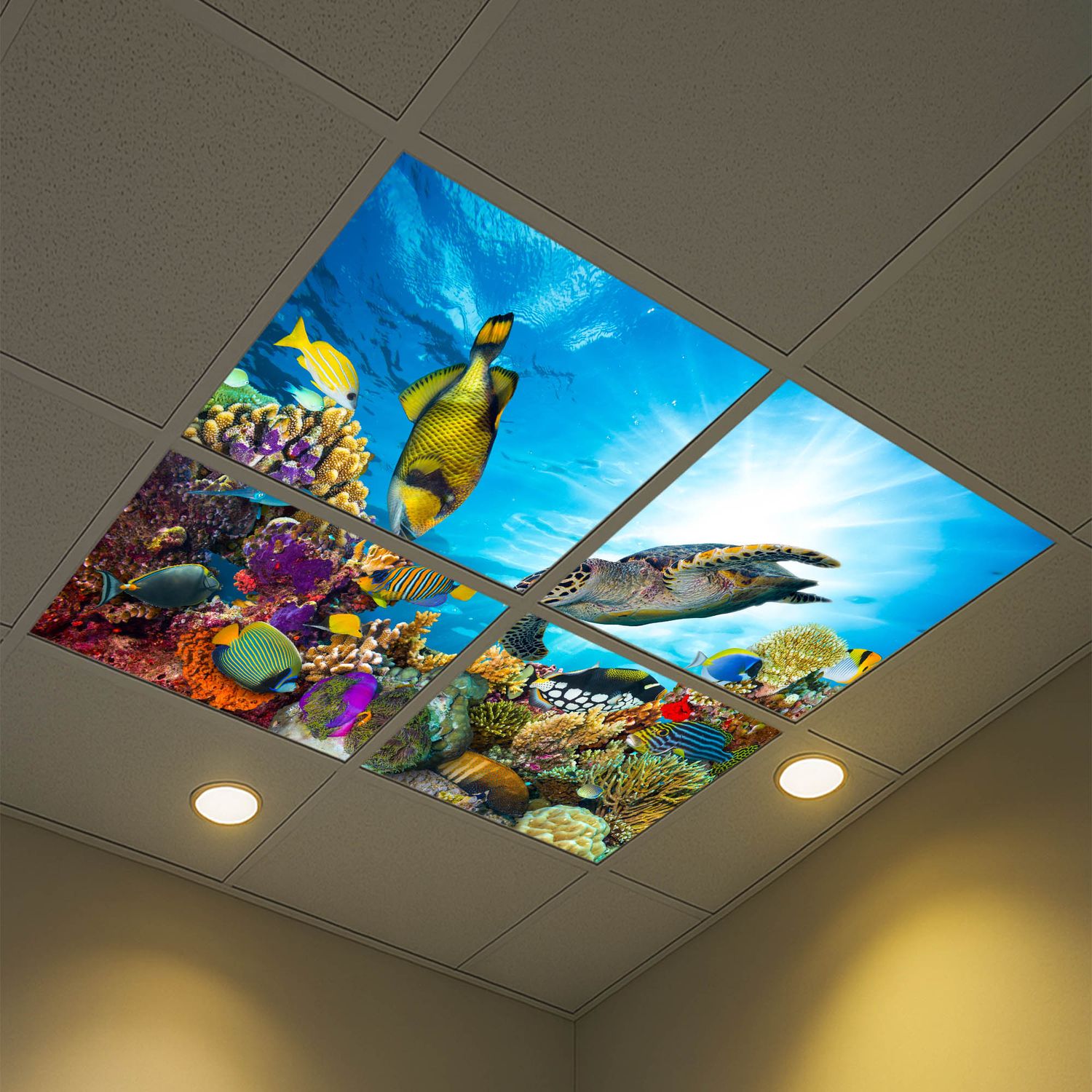 Underwater LED Ceiling Light Panels - Coral Reef with Sea Turtle - 600x600 Underwater LED Ceiling Light Panels - Coral Reef with Sea Turtle - 600x600