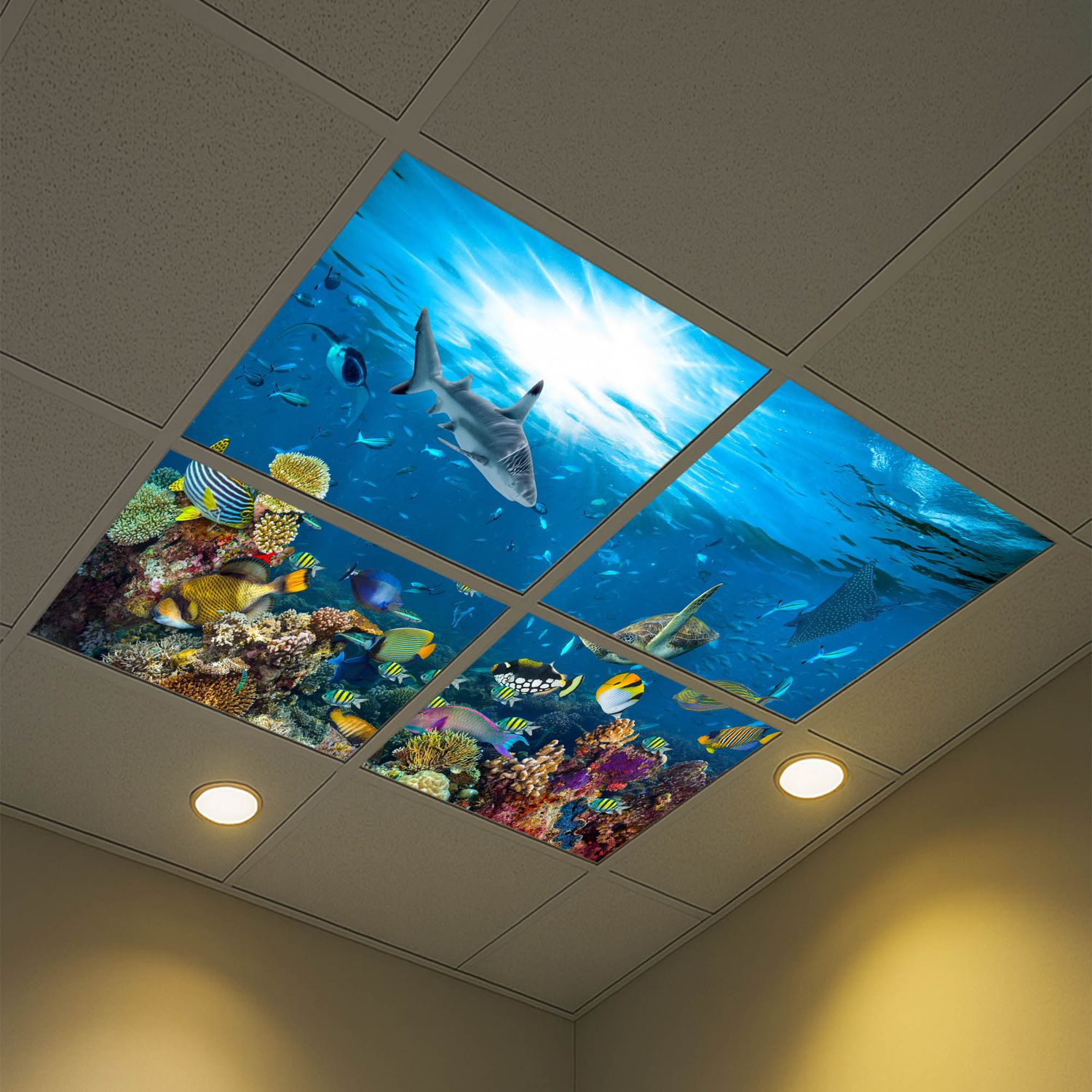 Underwater LED Ceiling Light Panels - Ocean Reef with Sharks and Sea Turtle - 600x600 Underwater LED Ceiling Light Panels - Ocean Reef with Sharks and Sea Turtle - 600x600
