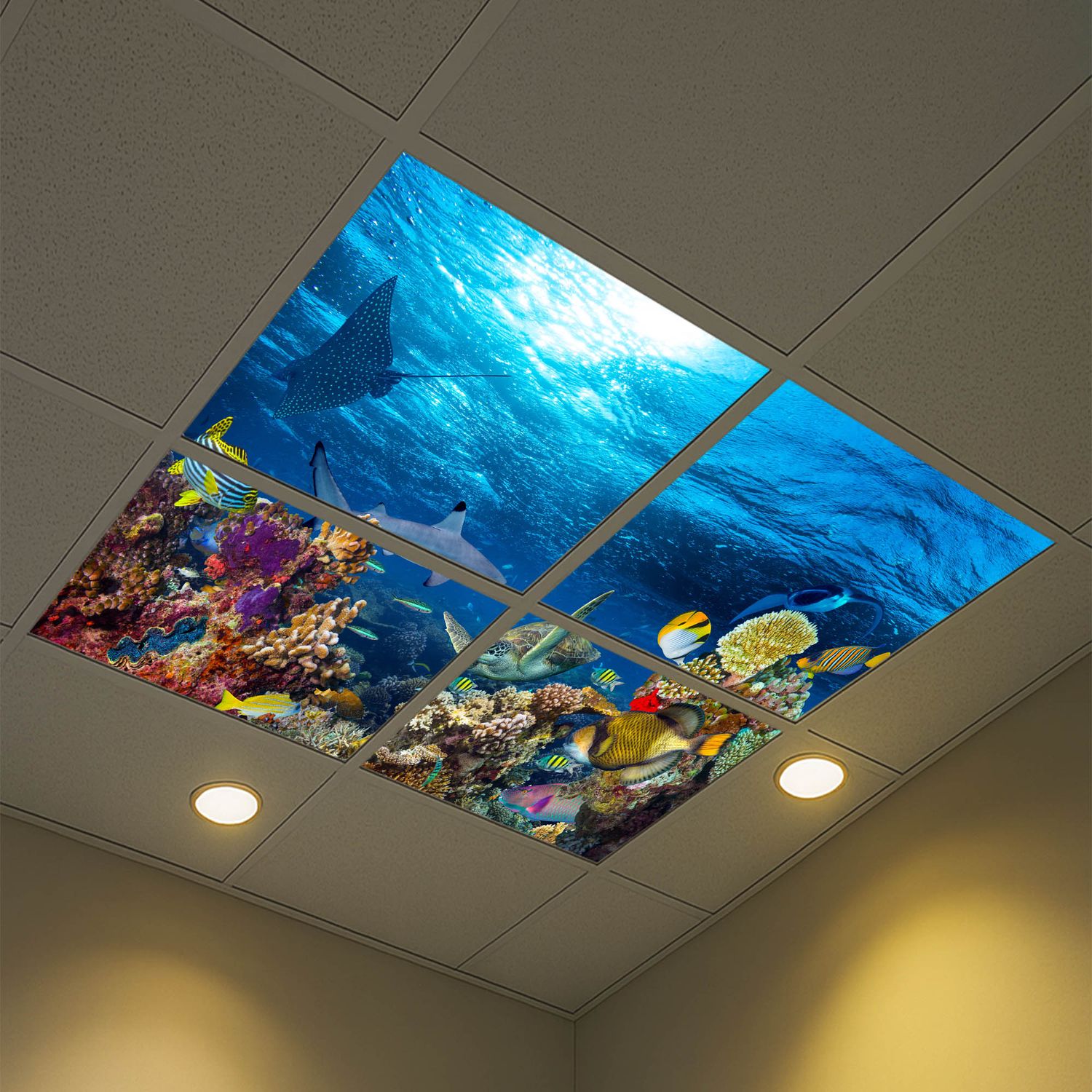 Underwater LED Ceiling Light Panels - Coral Reef with Sharks, Turtles & Rays - 600x600 Underwater LED Ceiling Light Panels - Coral Reef with Sharks, Turtles & Rays - 600x600
