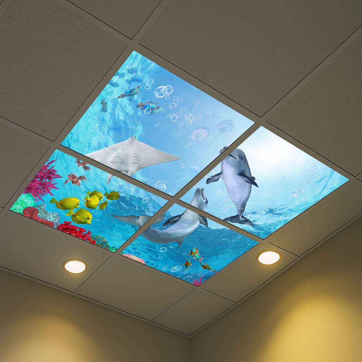 Underwater LED Ceiling Light Panels - Dolphins and Coral Reef - 600x600 Underwater LED Ceiling Light Panels - Dolphins and Coral Reef - 600x600