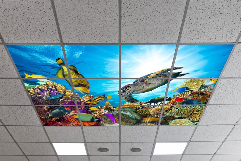Underwater LED Ceiling Light Panels - Coral Reef with Sea Turtle - 600x600