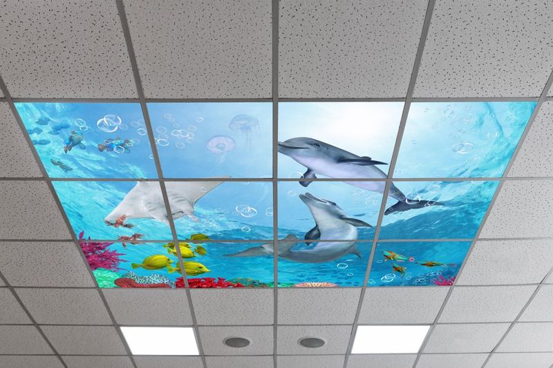 Underwater LED Ceiling Light Panels - Dolphins and Coral Reef - 600x600