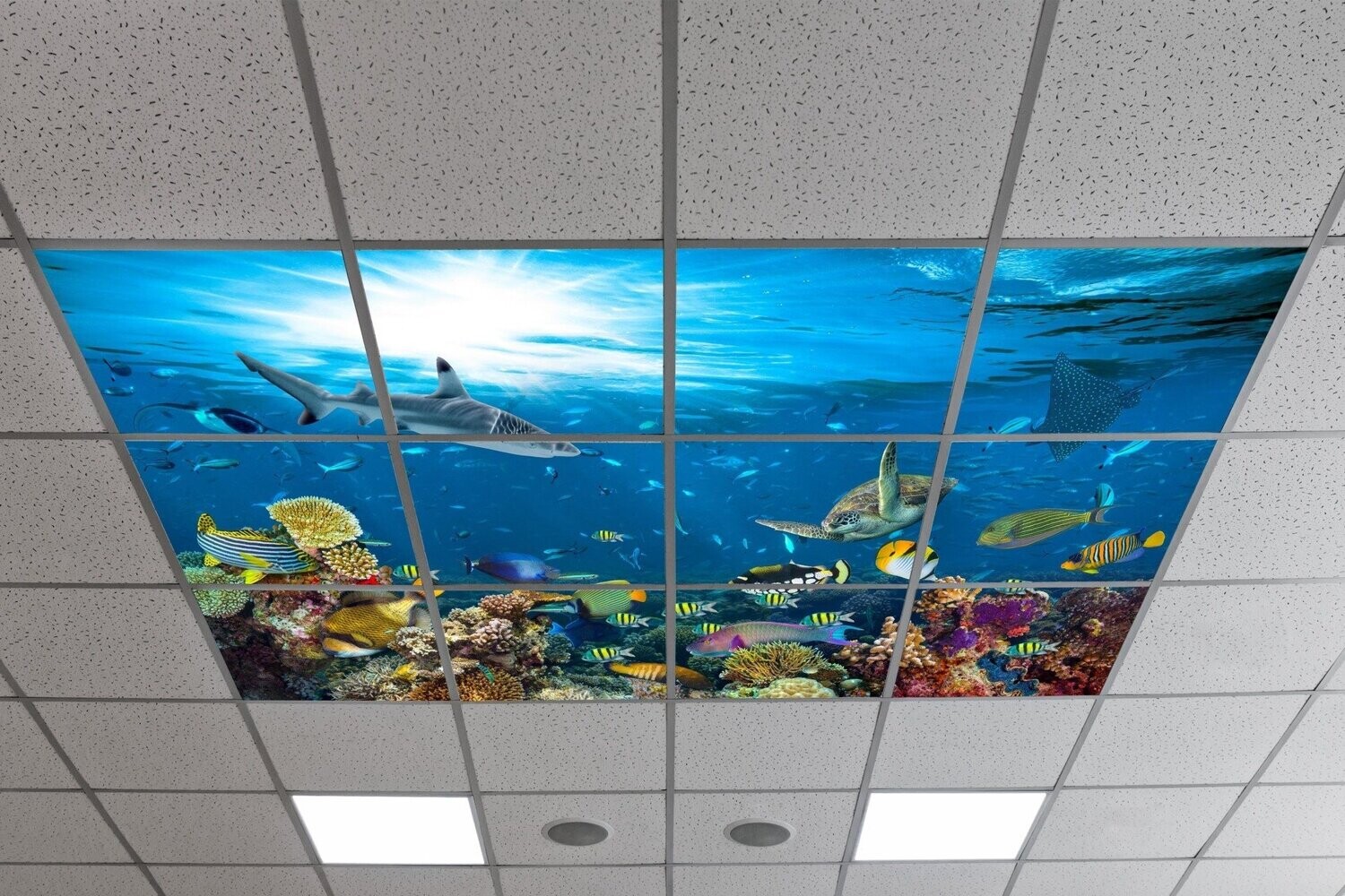 Underwater LED Ceiling Light Panels - Ocean Reef with Sharks and Sea Turtle - 600x600 Underwater LED Ceiling Light Panels - Ocean Reef with Sharks and Sea Turtle - 600x600