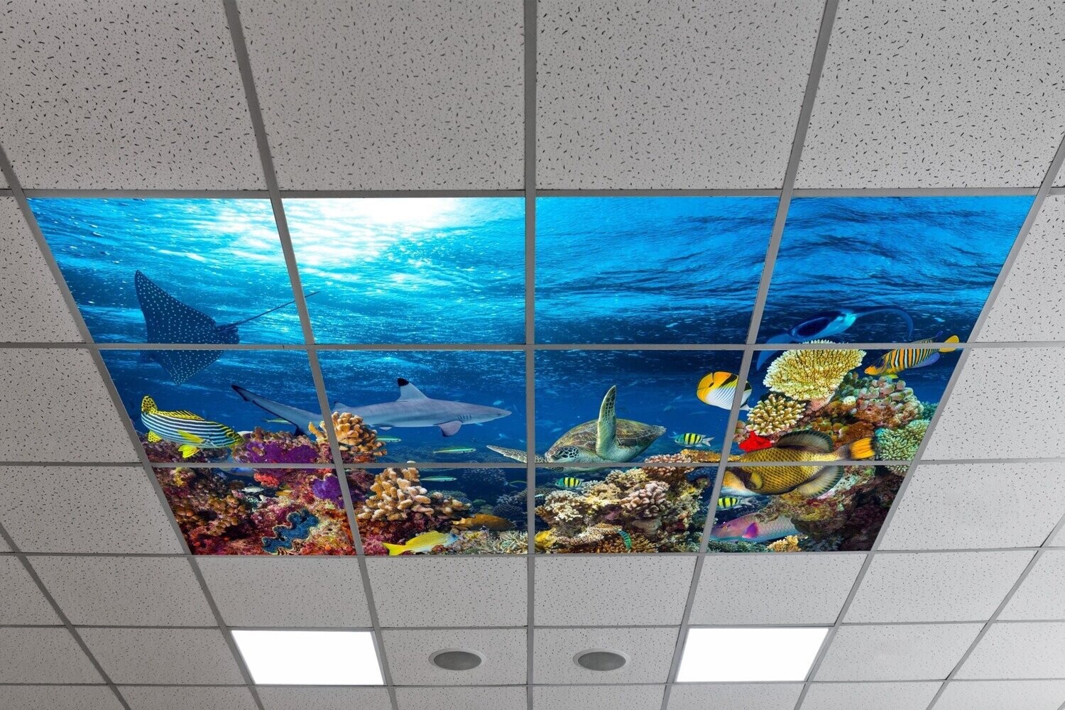 Underwater LED Ceiling Light Panels - Coral Reef with Shark, Turtle & Fishes - 600x600