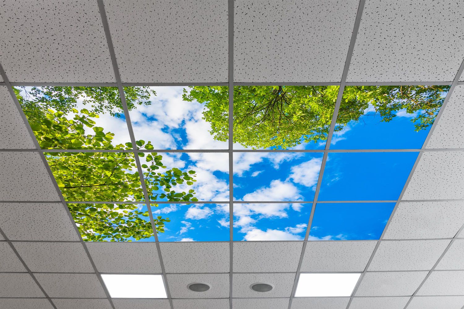Sky Trees Flowers LED Ceiling Light Panels - Fresh Green Canopy with Blue Sky - 600x600 Sky Trees Flowers LED Ceiling Light Panels - Fresh Green Canopy with Blue Sky - 600x600