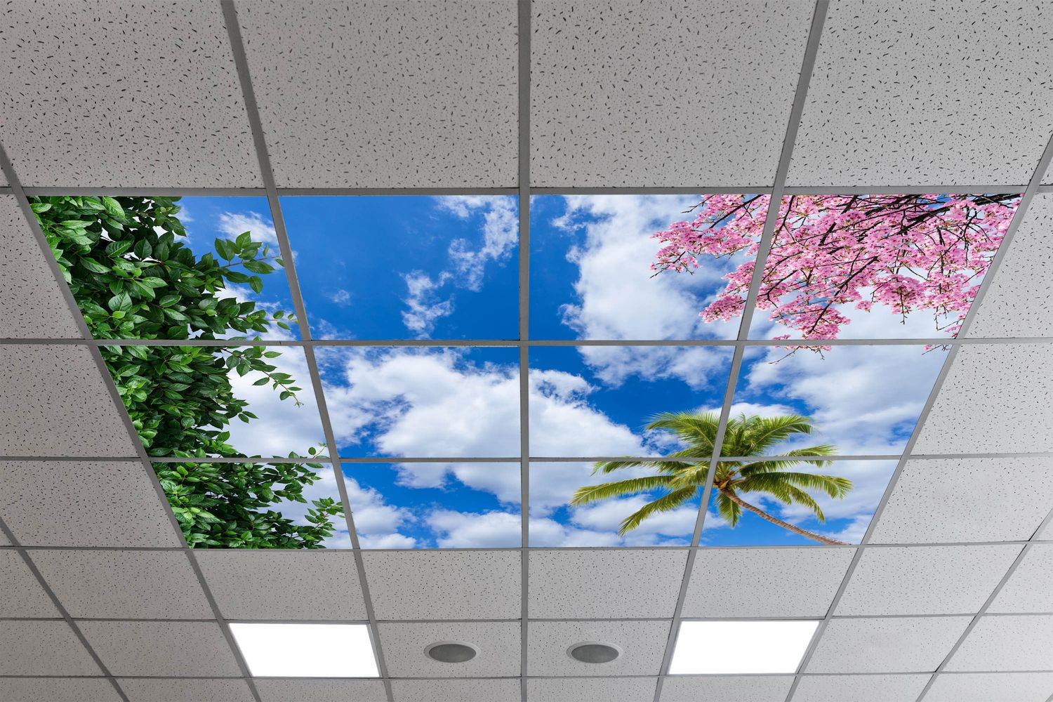 Sky Trees Flowers LED Ceiling Light Panels - Mixed Foliage, Blossom and Palm Tree Design with Blue Sky and Clouds - 600x600