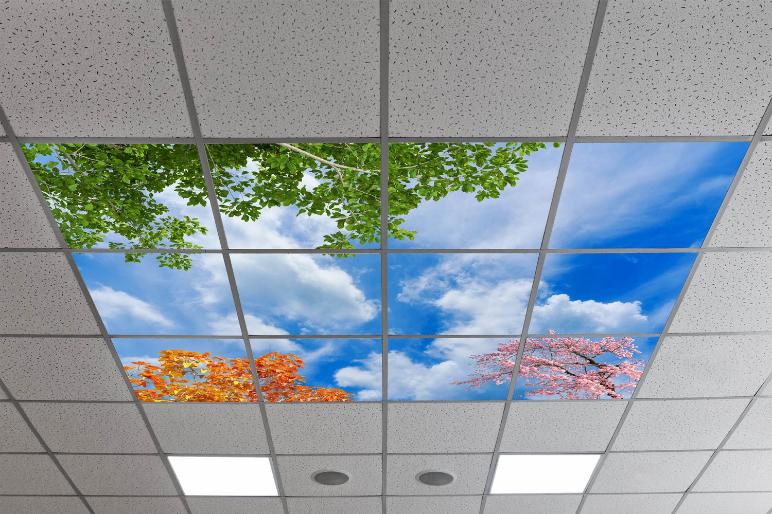 Sky Trees Flowers LED Ceiling Light Panels - Multi-Season Foliage Design with Blue Sky and Clouds - 600x600 Sky Trees Flowers LED Ceiling Light Panels - Multi-Season Foliage Design with Blue Sky and Clouds - 600x600