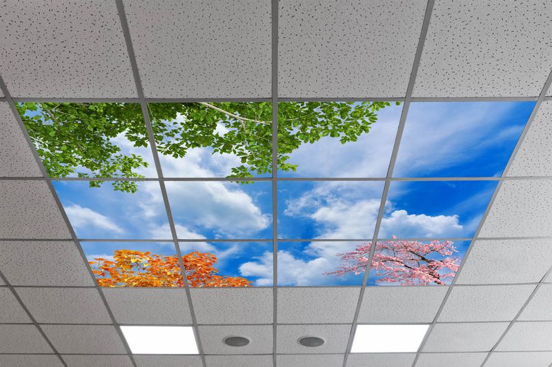 Sky Trees Flowers LED Ceiling Light Panels - Multi-Season Foliage Design with Blue Sky and Clouds - 600x600