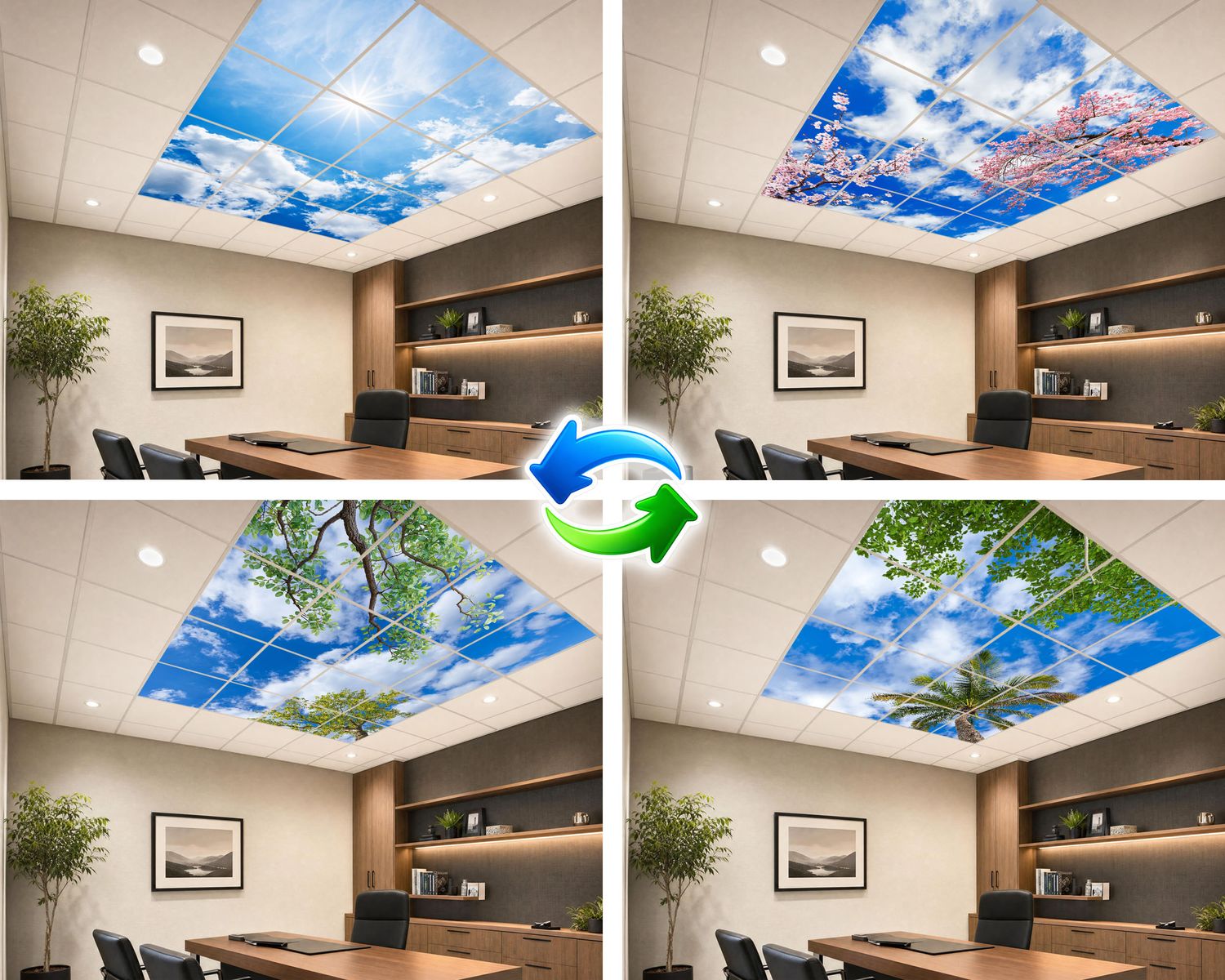Changeable Sky System Changeable Sky System