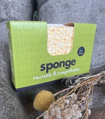 ECO Living - Large Sponge