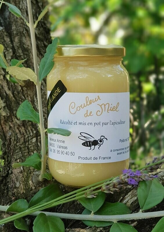 Miel de lavande - Pot de 500 grs
