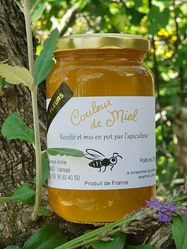 Miel  de fleurs  sauvages- Pot de 500 grs
