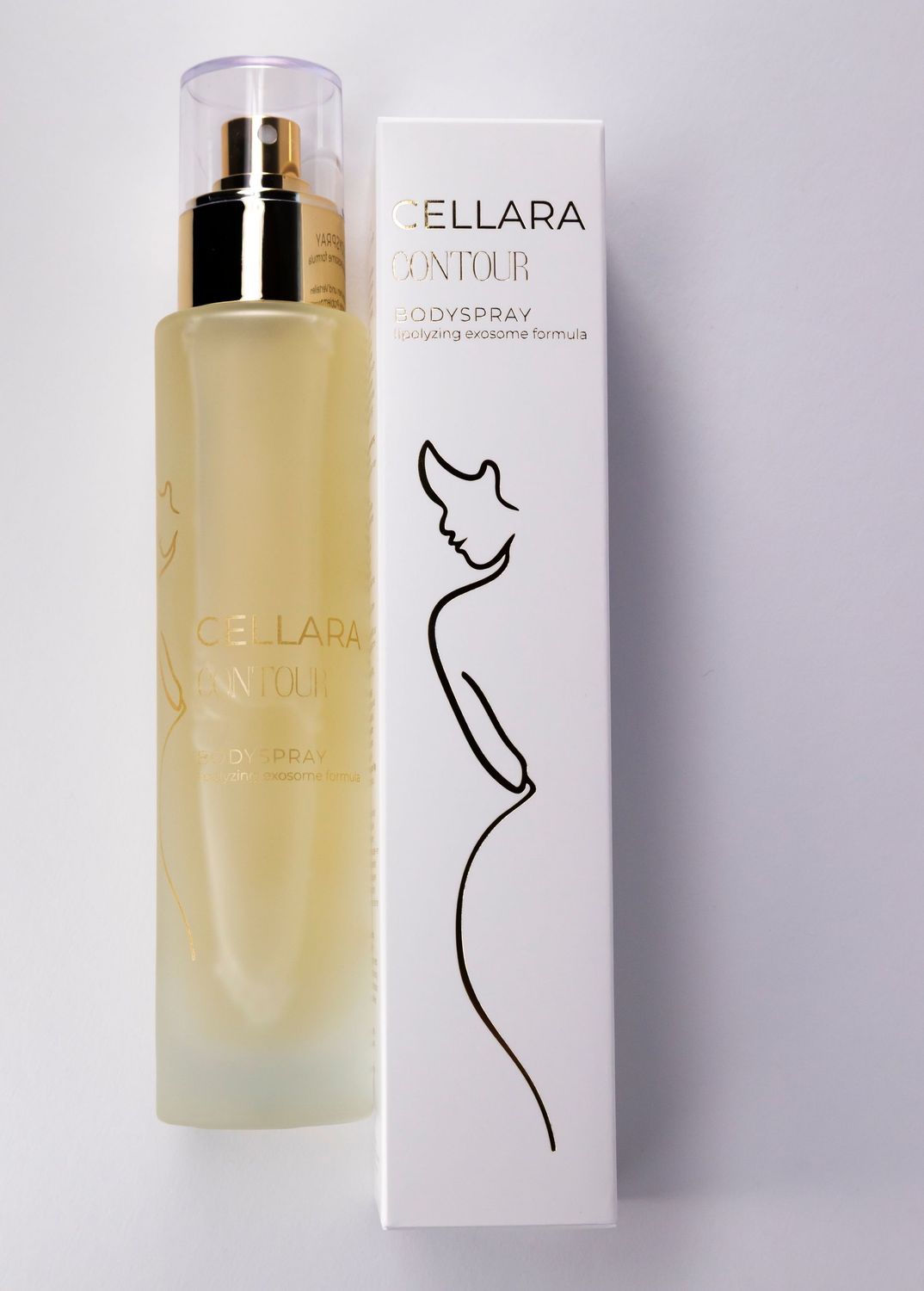 Cellara Contour