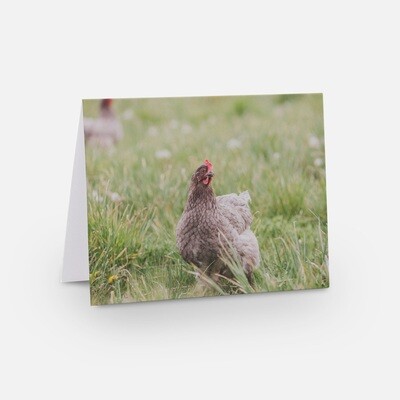 Greeting Cards - Farm Animal Collection