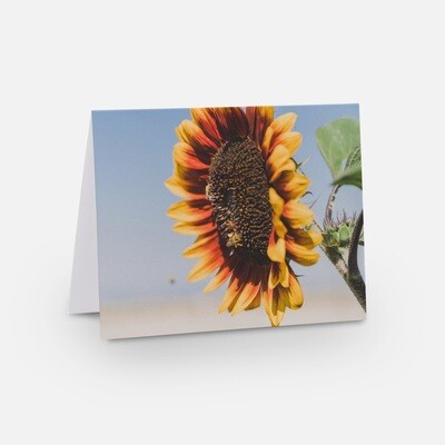 Greeting Cards - Flower Collection