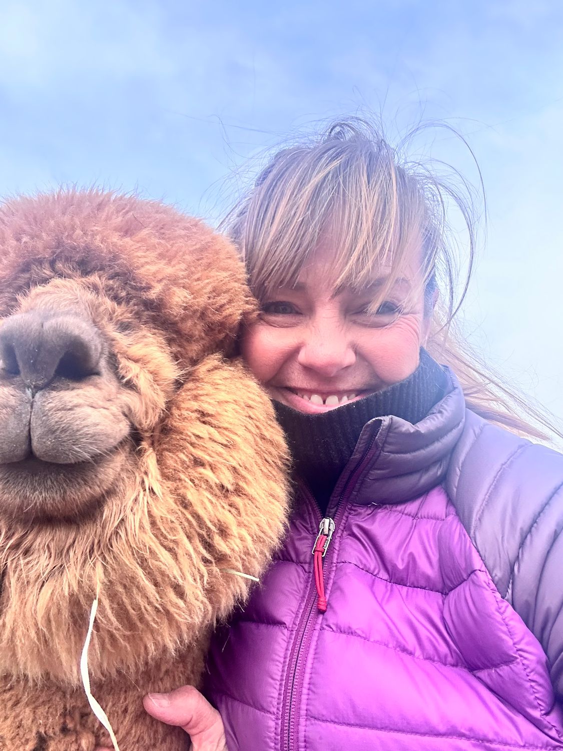 Alpaca Picnic VIP Individual ticket (Limited availability)