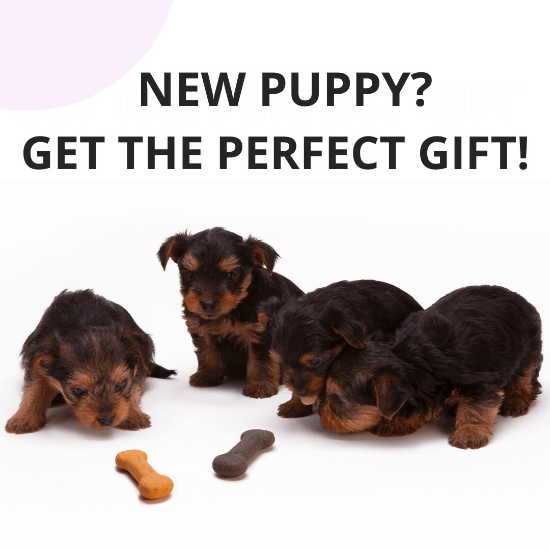 Puppy Healthcare Package
