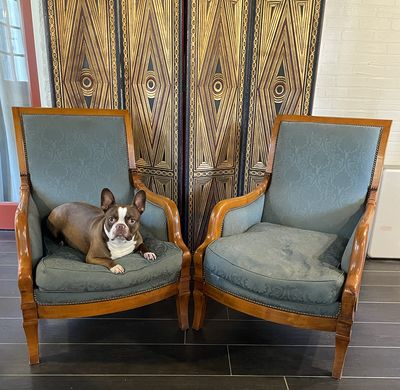 Pair of Charles X Bois Clair Bergère Gondola Biedermeier Style Contemporary Armchairs