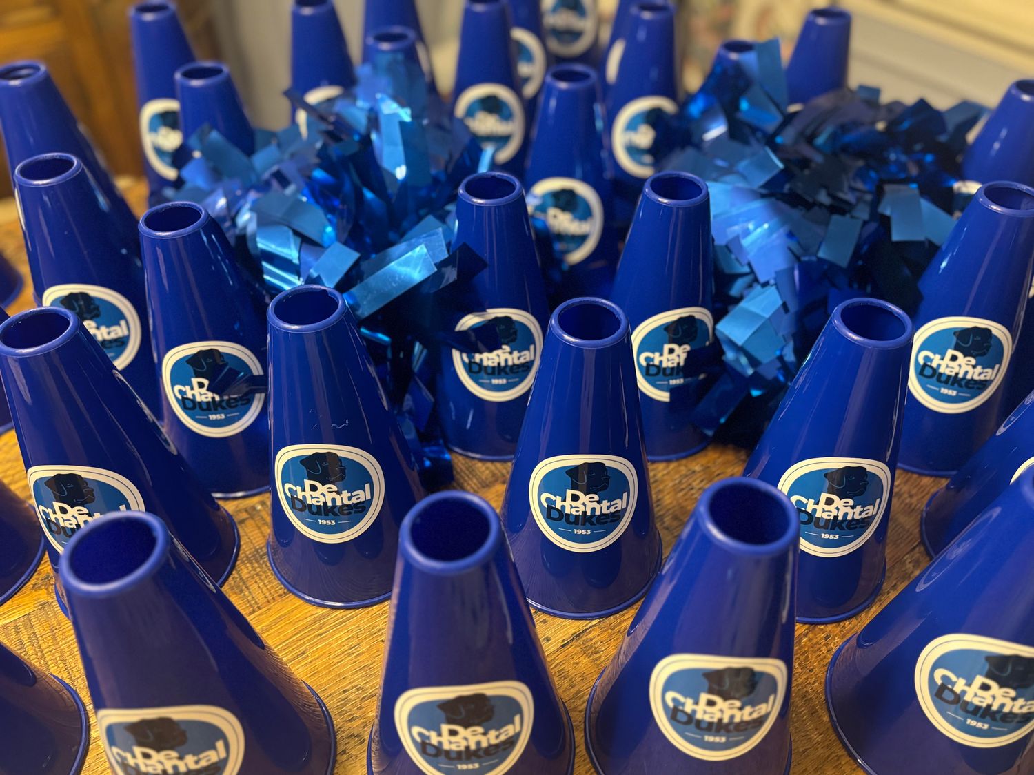 Cheering Pom Poms - Megaphones