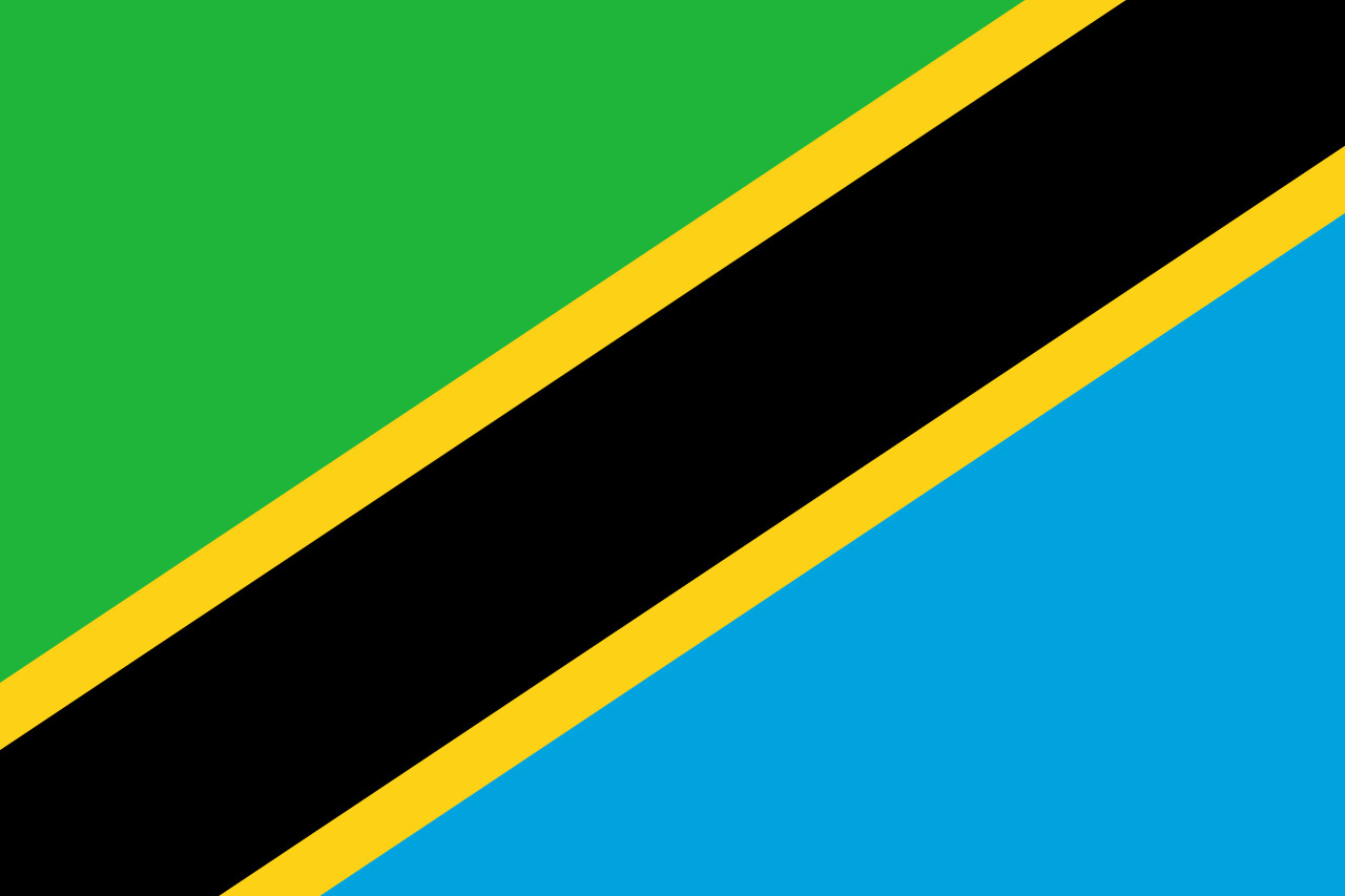 Tanzania Peaberry
