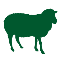 Home Pasture-Raised Lamb