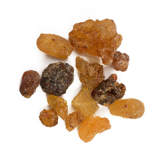 Frankincense (boswellia serrata) Frankincense (boswellia serrata)