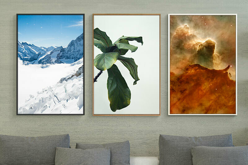 Framed Canvas