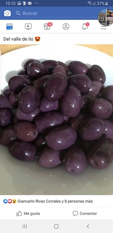 Aceituna de Primera