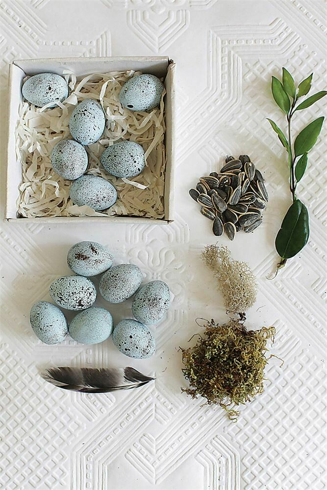 Ceramic Robins Egg Set of 12