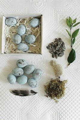 Ceramic Robins Egg Set of 12