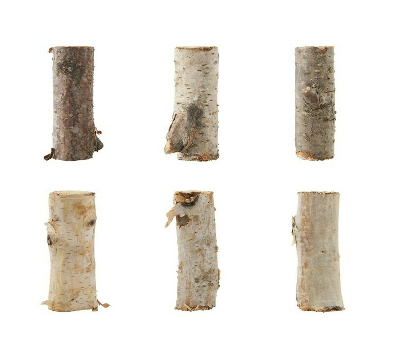 2" Birch Branches- Bag Of 25ish