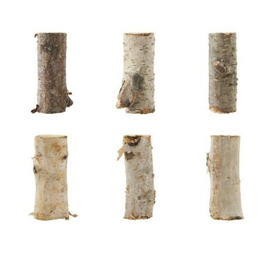 2" Birch Branches- Bag Of 25ish