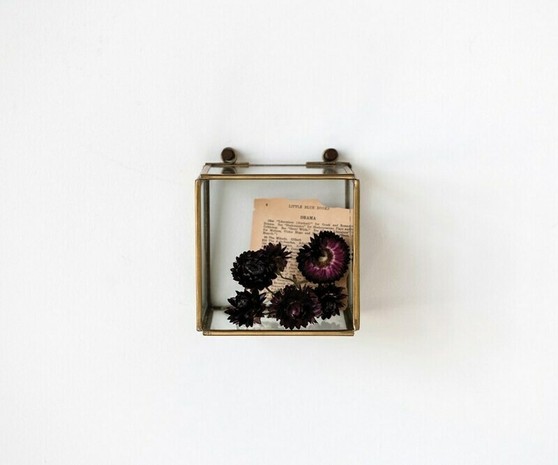Glass Shadow Box w/ Brass Frame