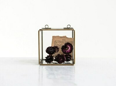 Glass Shadow Box w/ Brass Frame