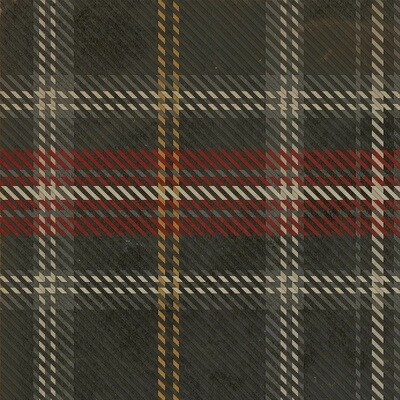 Forth Bridge Vinyl Floor Cloth