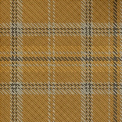 Ben Nevis Vinyl Floor Cloth