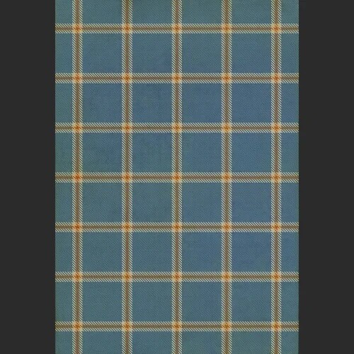 Birmingham Vinyl Floor Cloth