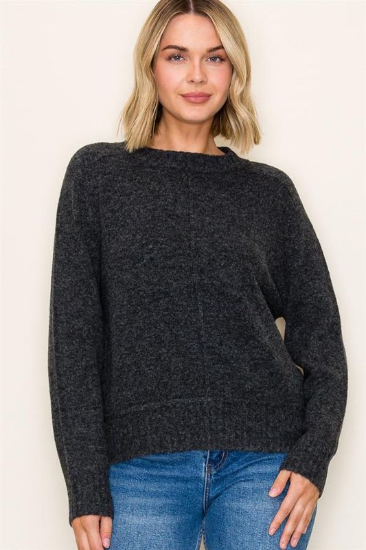 Center Seam Accent Crew Neck Sweater