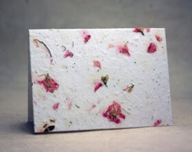 Cards by Jocelyn, #5 Until Beauty Exists No More