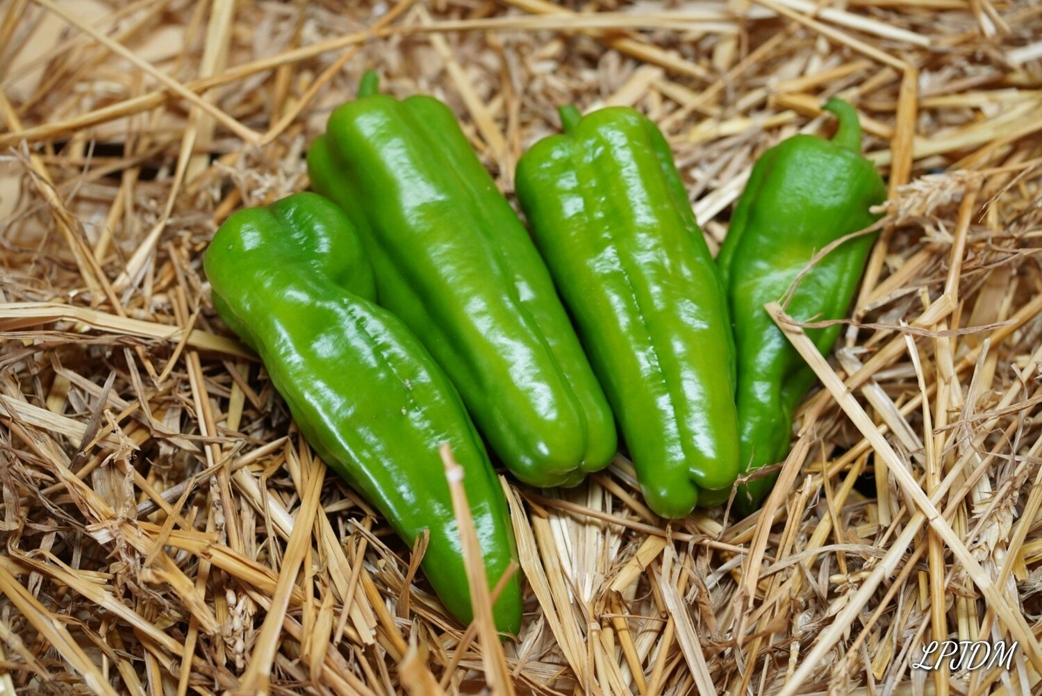 Poivron doux bio(200gr) Poivron doux bio(200gr)