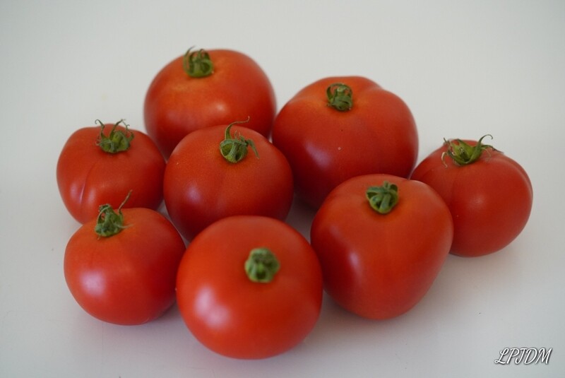 Tomates rondes Bio kg