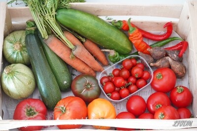 Panier de légumes Bio à 15€ semaine 31 Panier de légumes Bio à 15€ semaine 31