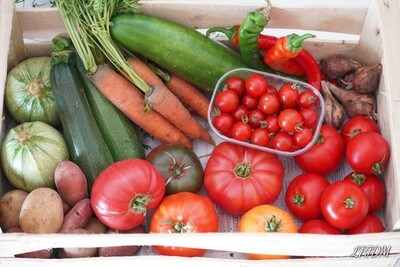 Panier de légumes Bio à 20€ semaine 31 Panier de légumes Bio à 20€ semaine 31