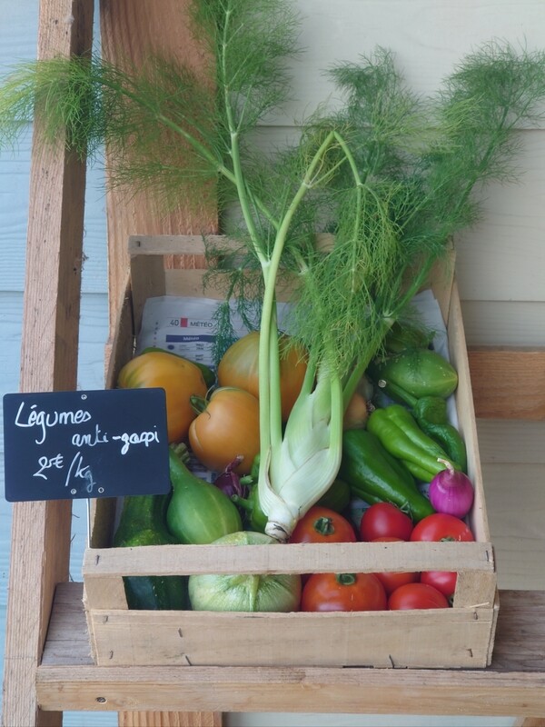 Légumes anti gaspi bio (~3,3kg)