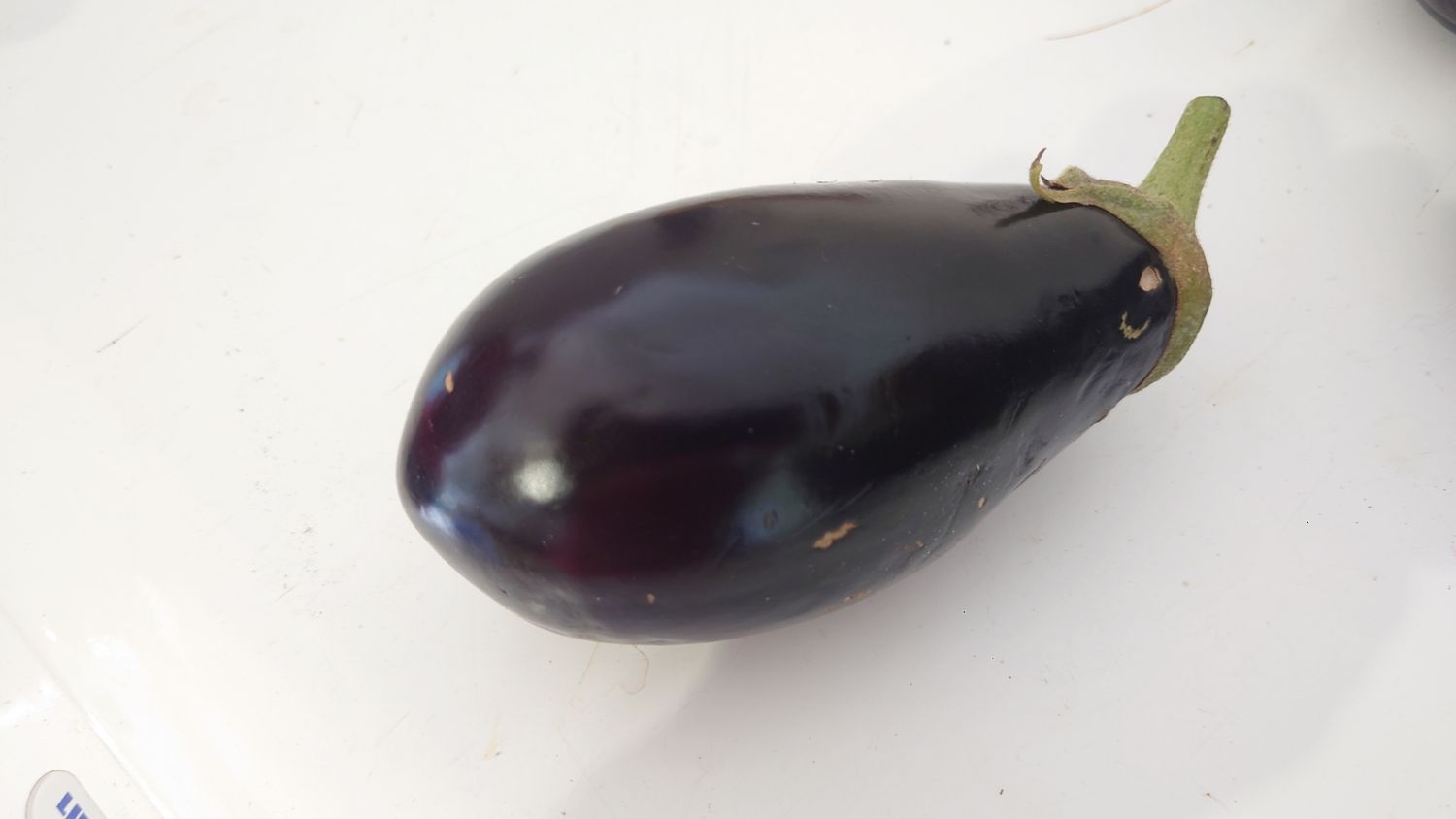 Aubergine bio (pc)