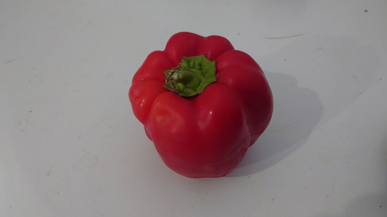 Poivron bio (pc)
